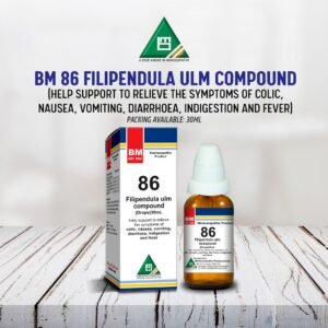 BM 86