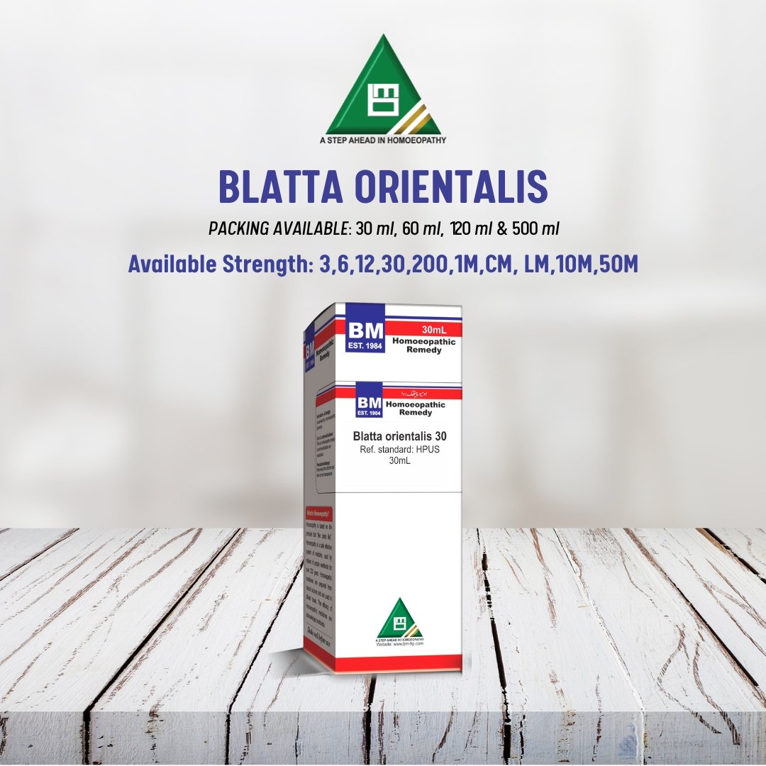 BLATTA ORIENTALIS