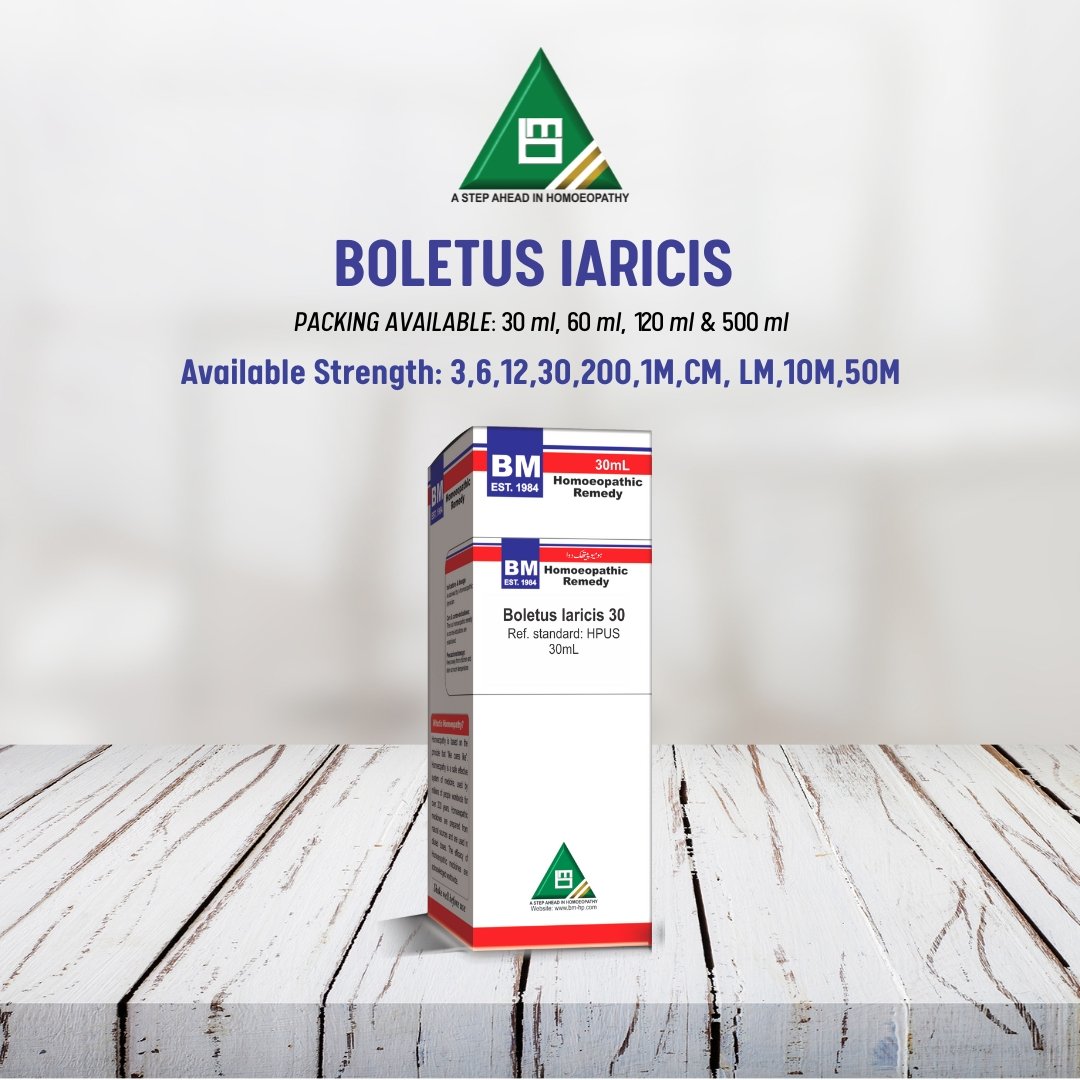BOLETUS LARICIS