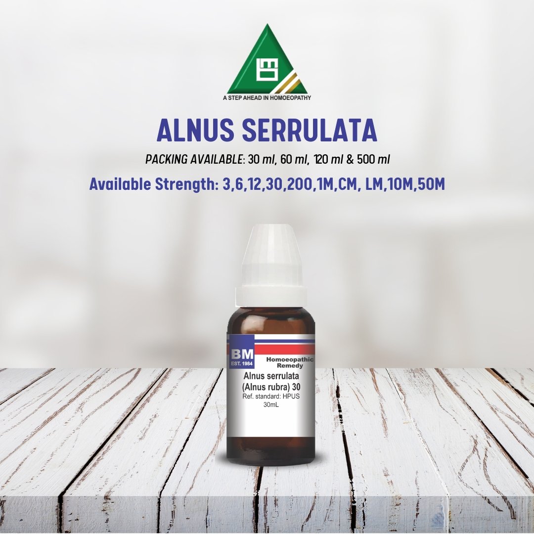 ALNUS SERRULATA