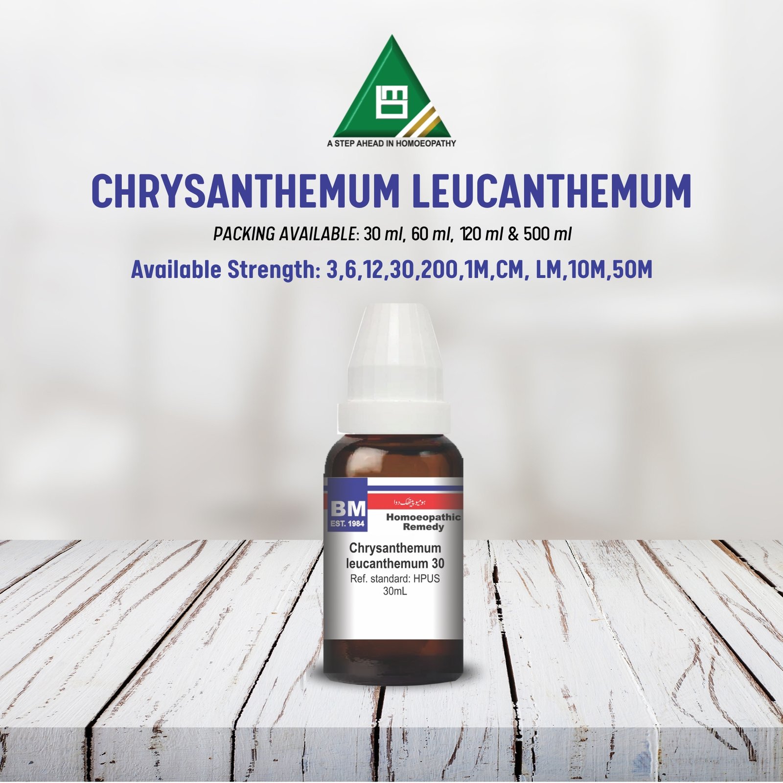 CHRYSANTHEMUM LEUCANTHEMUM