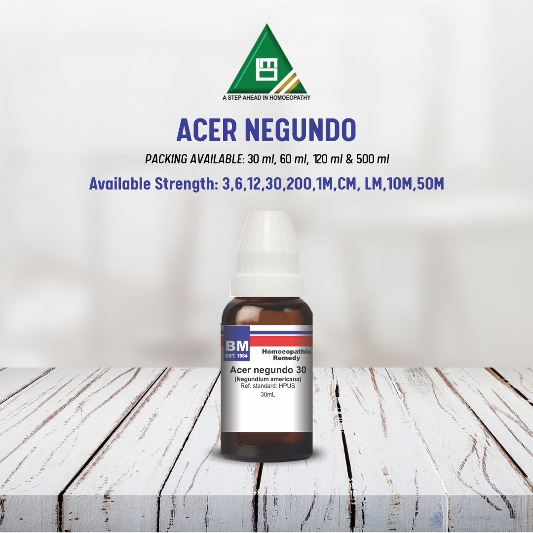 ACER NEGUNDO