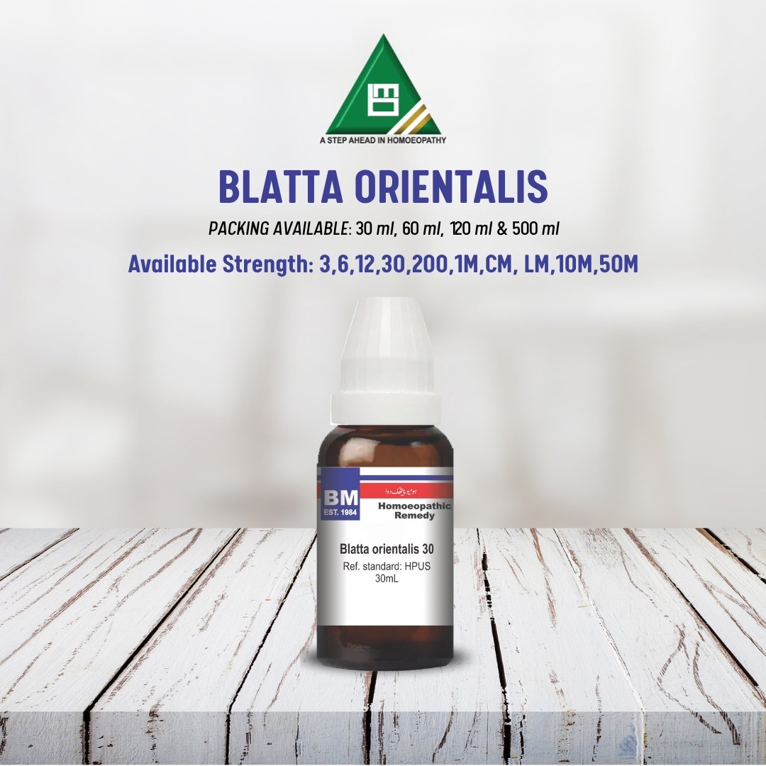 BLATTA ORIENTALIS