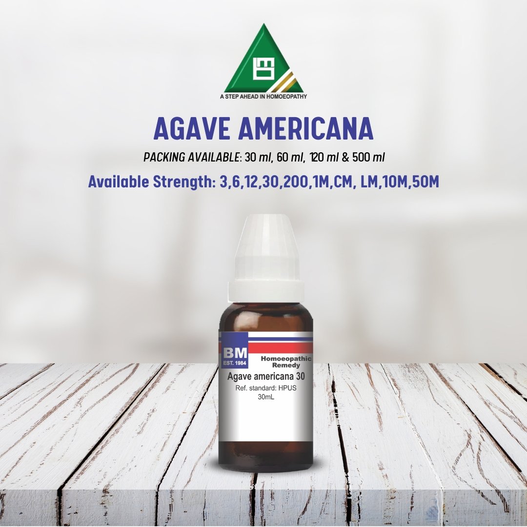 AGAVE AMERICANA