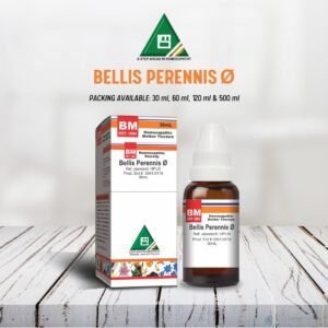 Bellis Perennis Ø