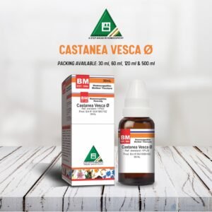 Castanea Vesca Ø