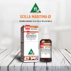 SCILLA MARITIMA Ø